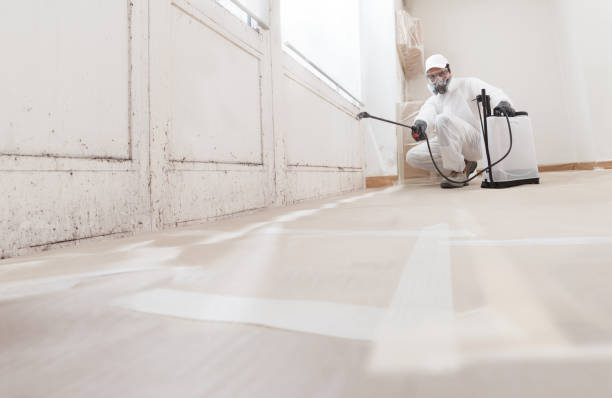 24/7 Emergency Commercial Mold Remediation experts in Acton, MA